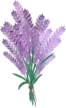 Lavender Icon